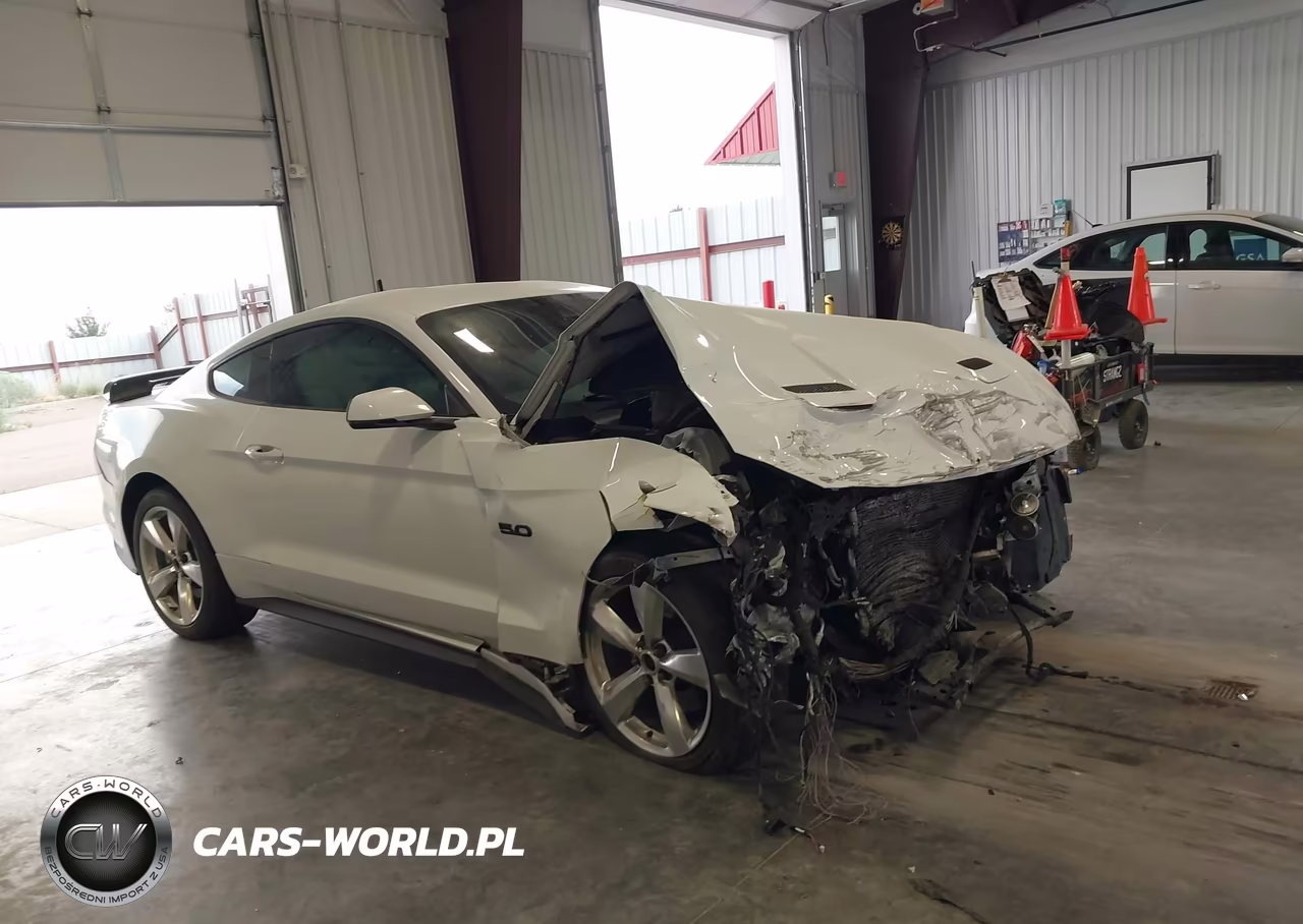 2018 Ford Mustang Gt Premium VIN:1FA6P8CF7J5126273 - 14