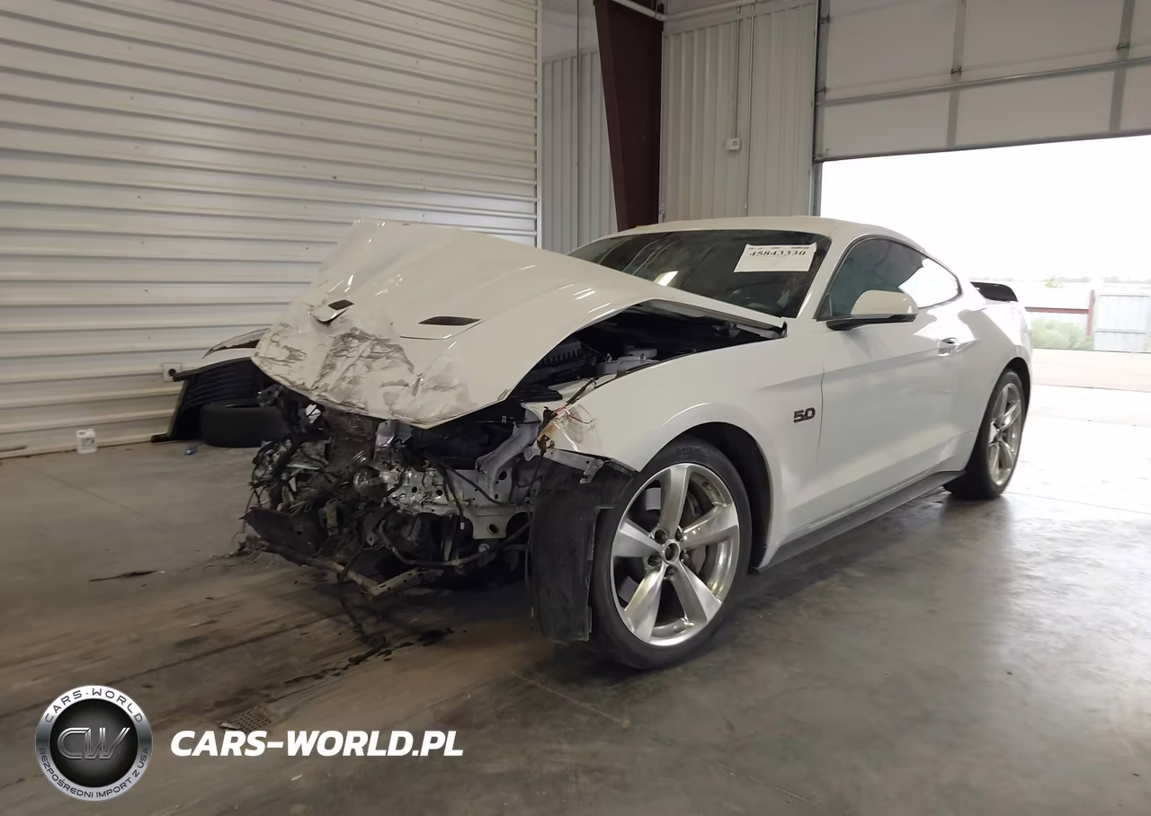 2018 Ford Mustang Gt Premium VIN:1FA6P8CF7J5126273 - 2