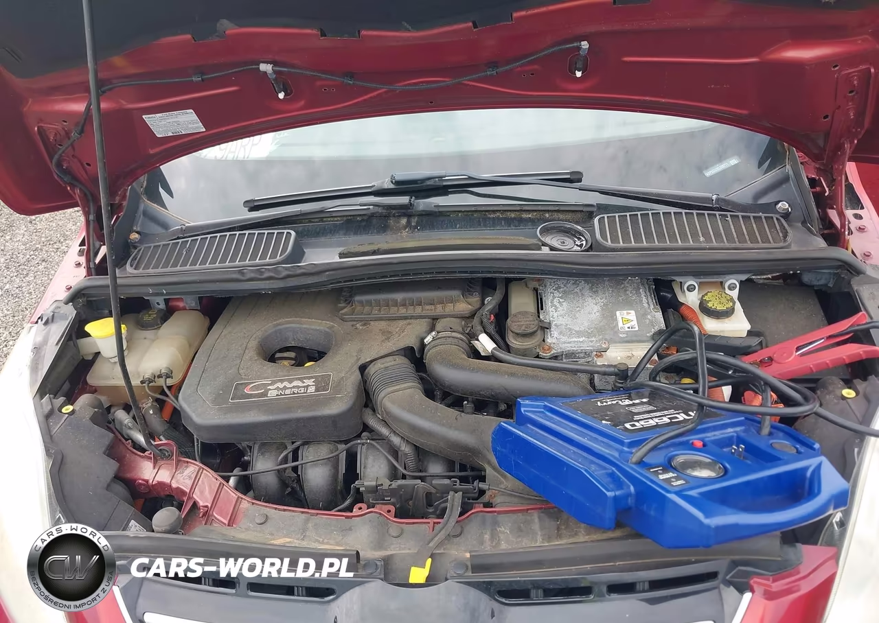 2014 Ford C-Max Energi Sel VIN:1FADP5CU2EL520771 - 10