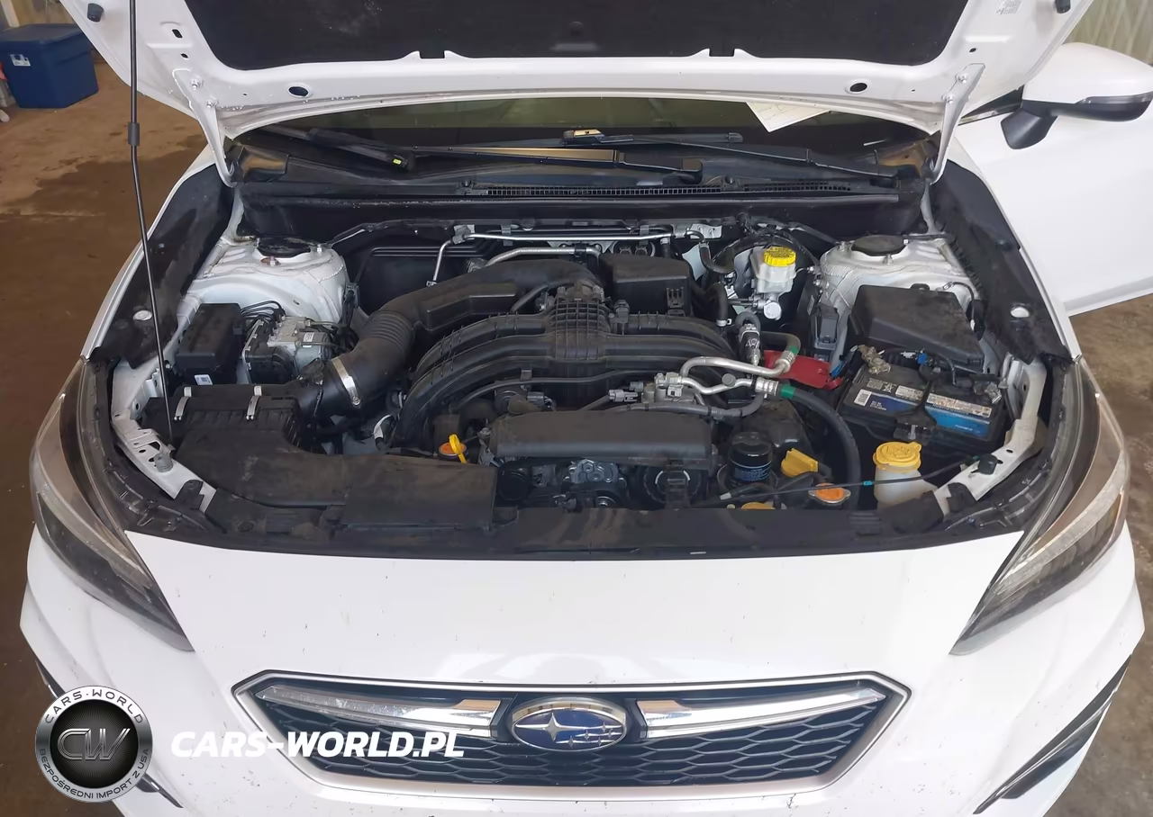 2019 Subaru Impreza 2.0I Limited VIN:4S3GKAS63K3623128 - 10