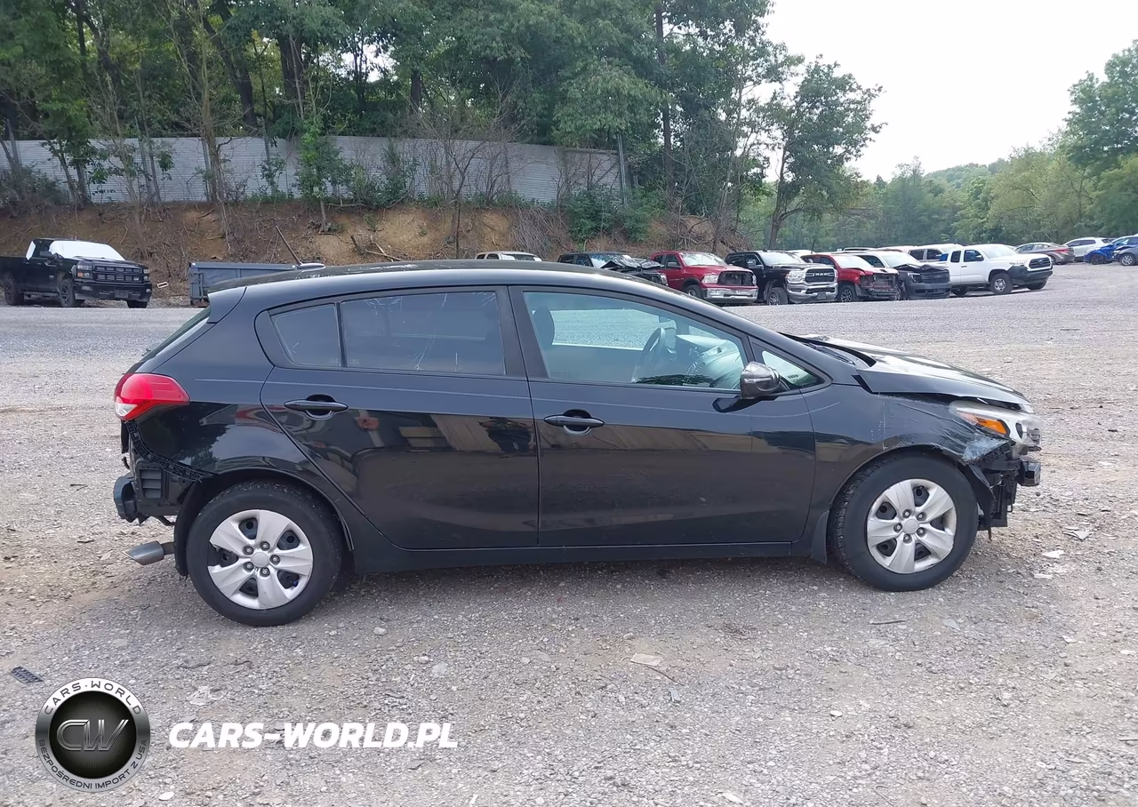 2017 Kia Forte Lx VIN:KNAFK5A88H5679971 - 13