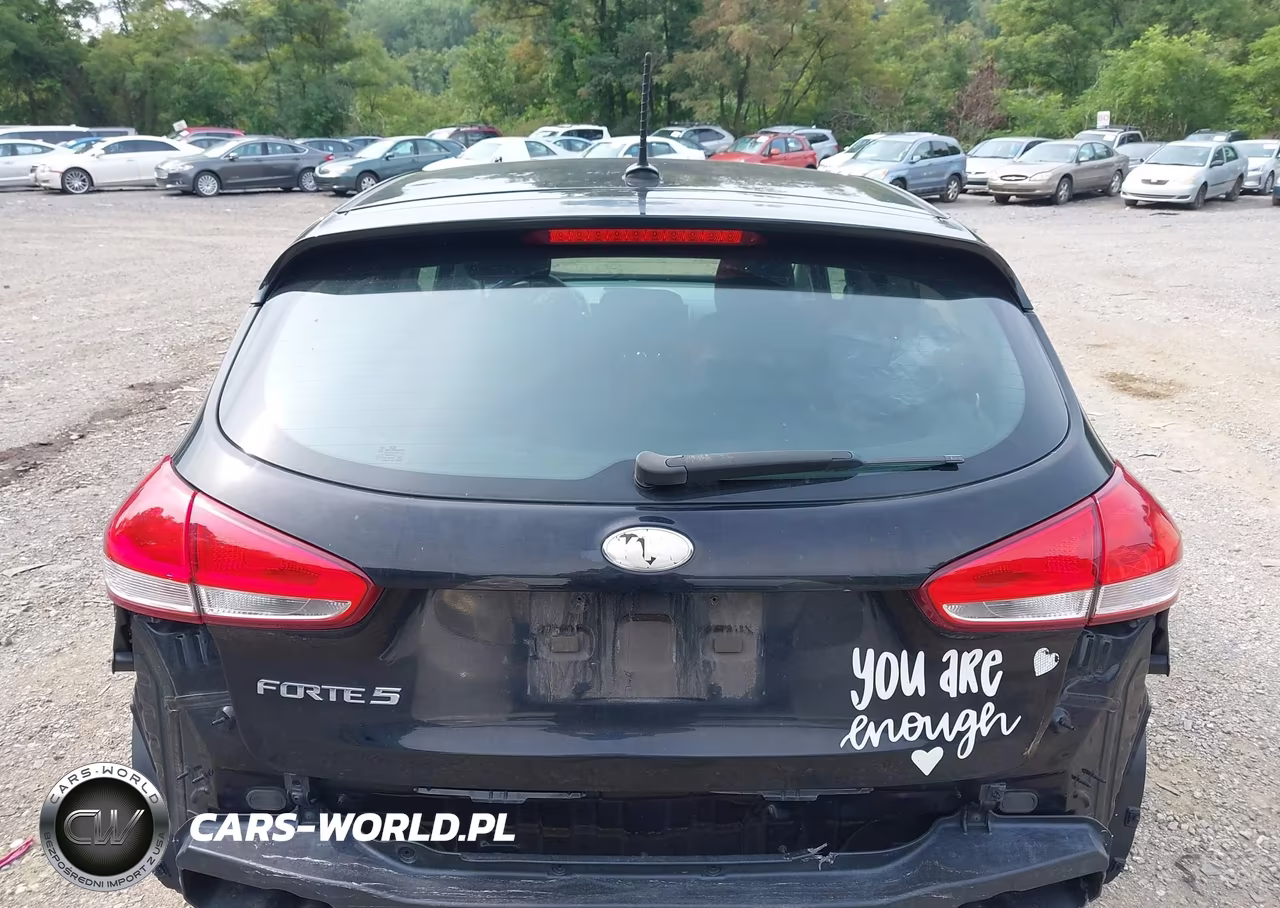 2017 Kia Forte Lx VIN:KNAFK5A88H5679971 - 16