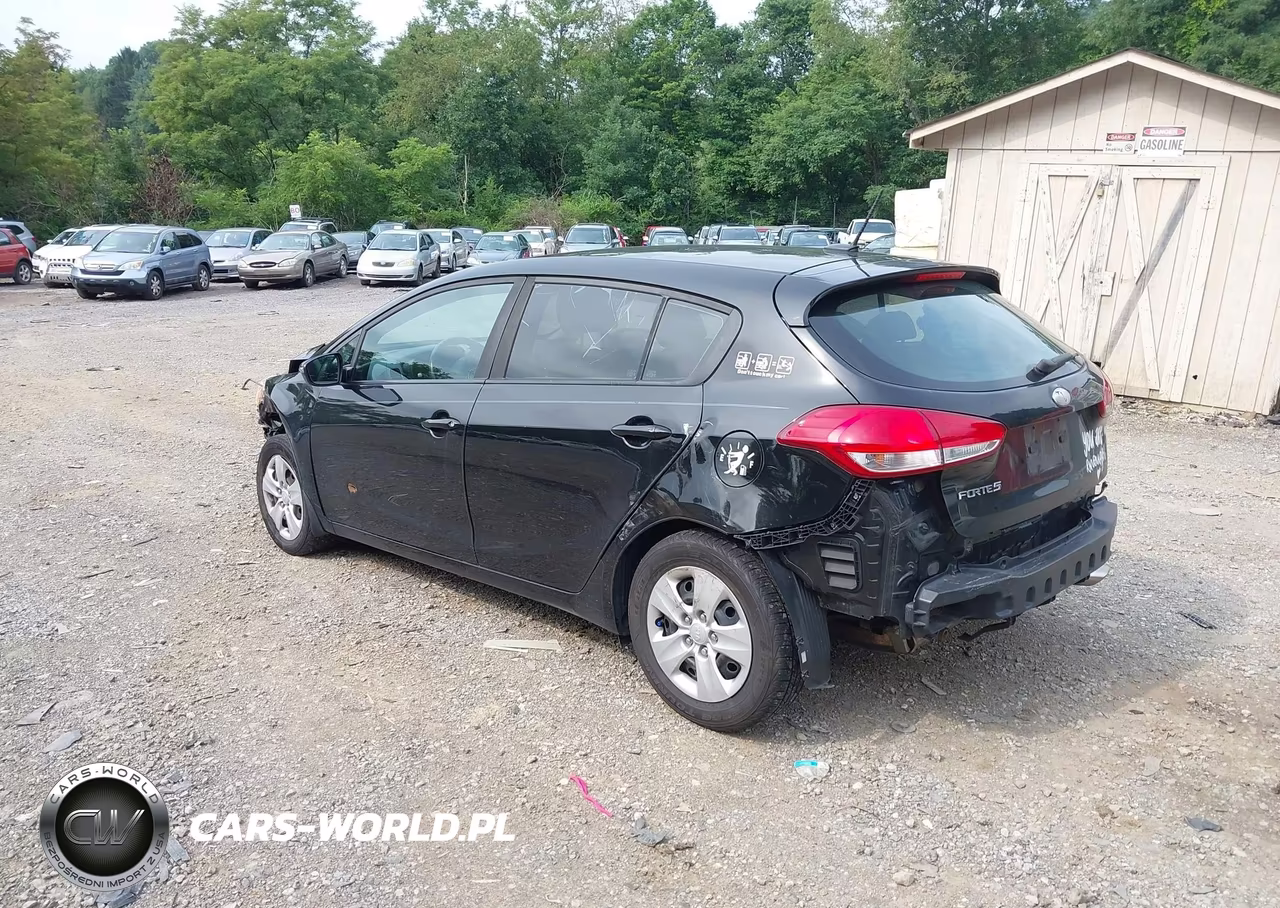2017 Kia Forte Lx VIN:KNAFK5A88H5679971 - 3