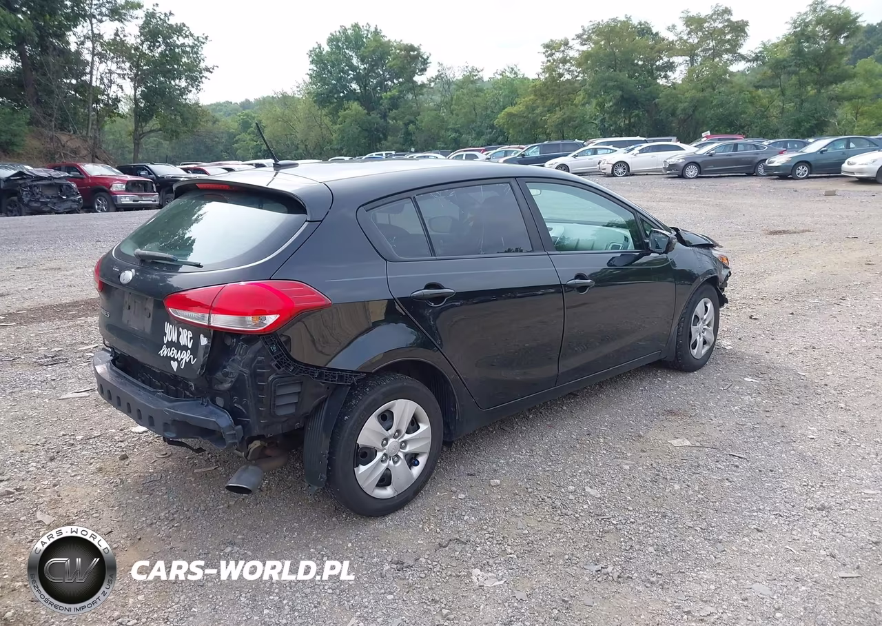 2017 Kia Forte Lx VIN:KNAFK5A88H5679971 - 4