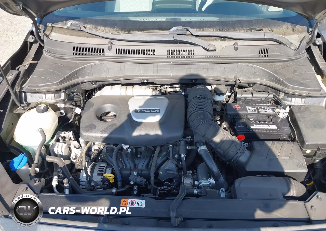 2019 Hyundai Kona Limited VIN:KM8K3CA53KU394919 - 10