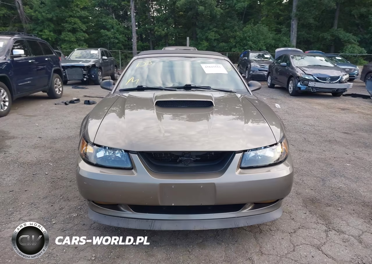 2002 Ford Mustang VIN:1FAFP45X72F196110 - 11
