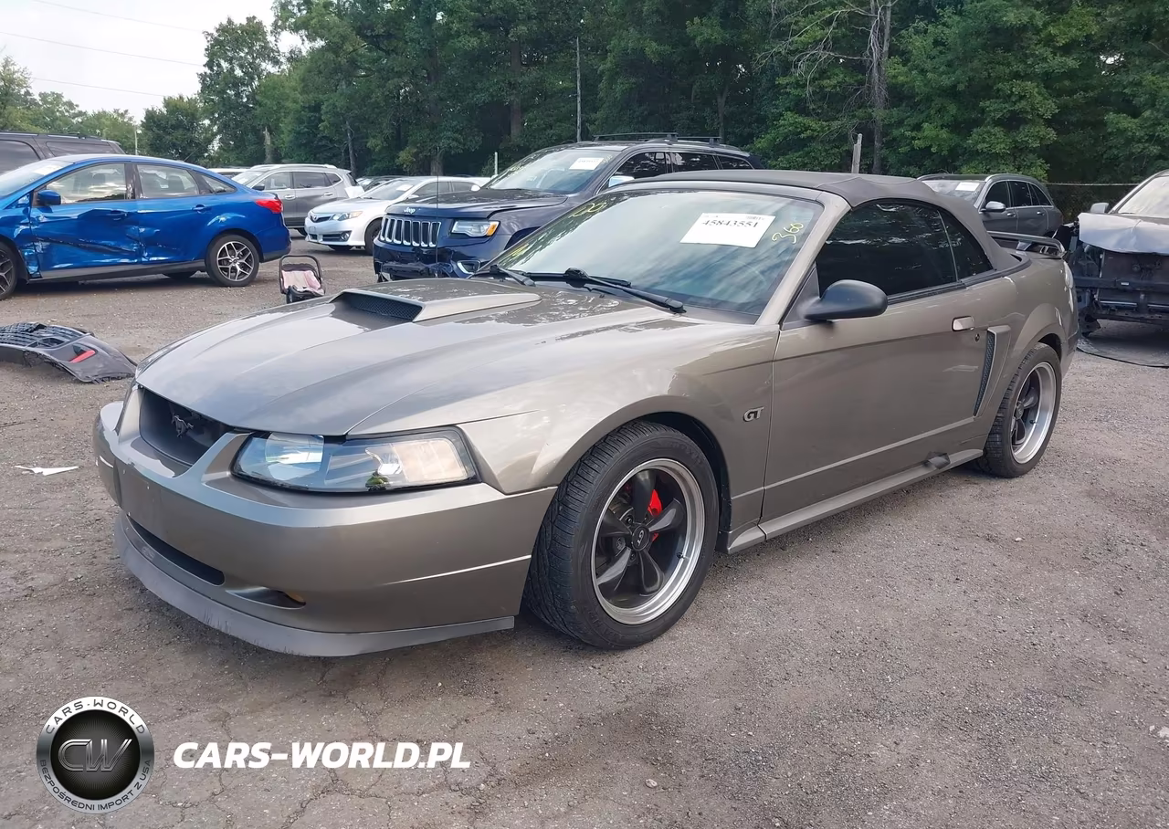 2002 Ford Mustang VIN:1FAFP45X72F196110 - 2