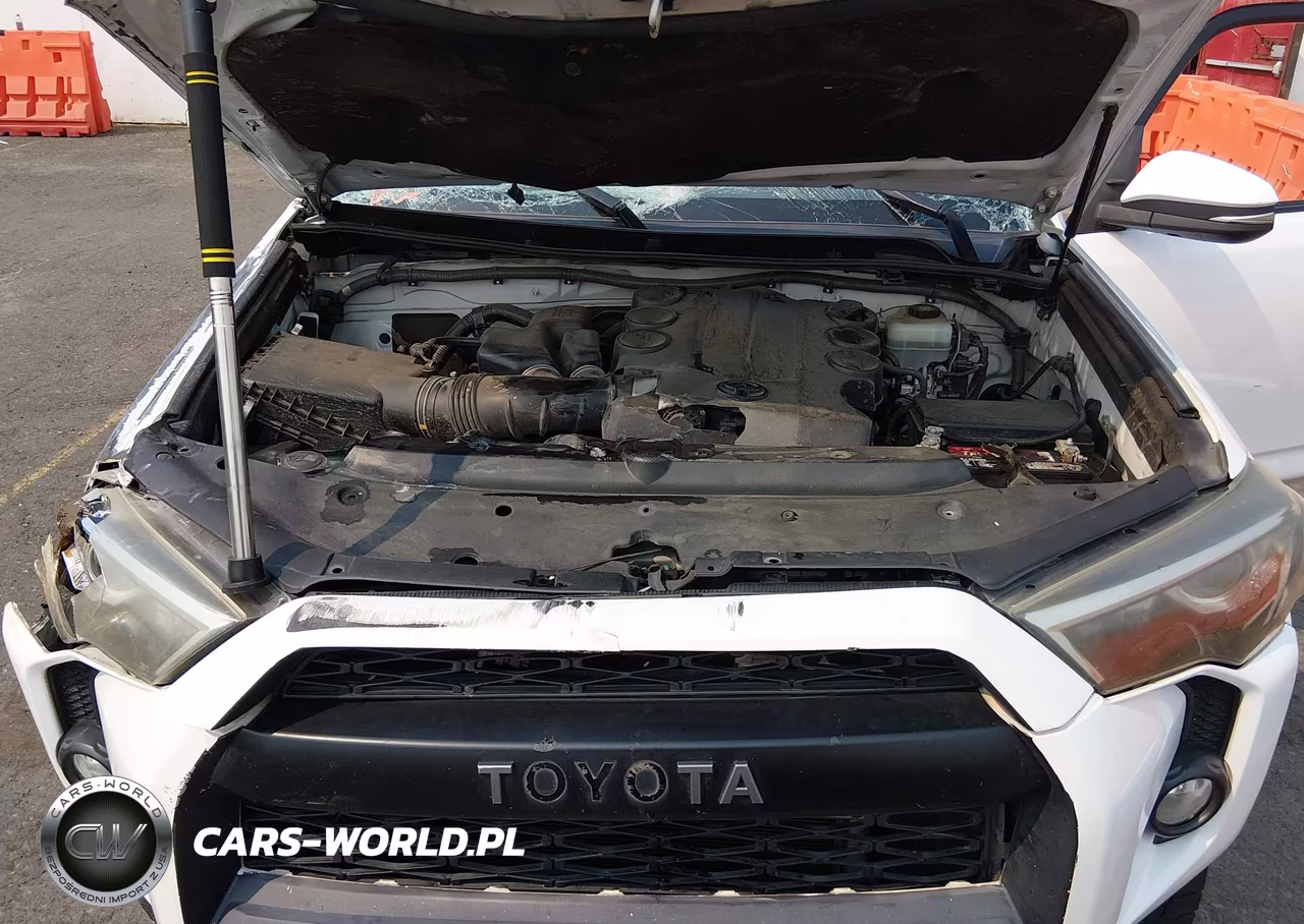 2017 Toyota 4Runner Trd Off Road VIN:JTEBU5JR7H5454392 - 10