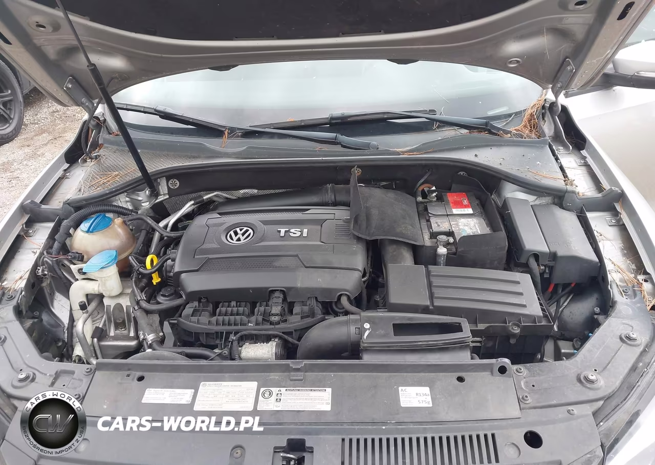 2014 Volkswagen Passat 1.8T Wolfsburg Edition VIN:1VWAS7A33EC066870 - 10