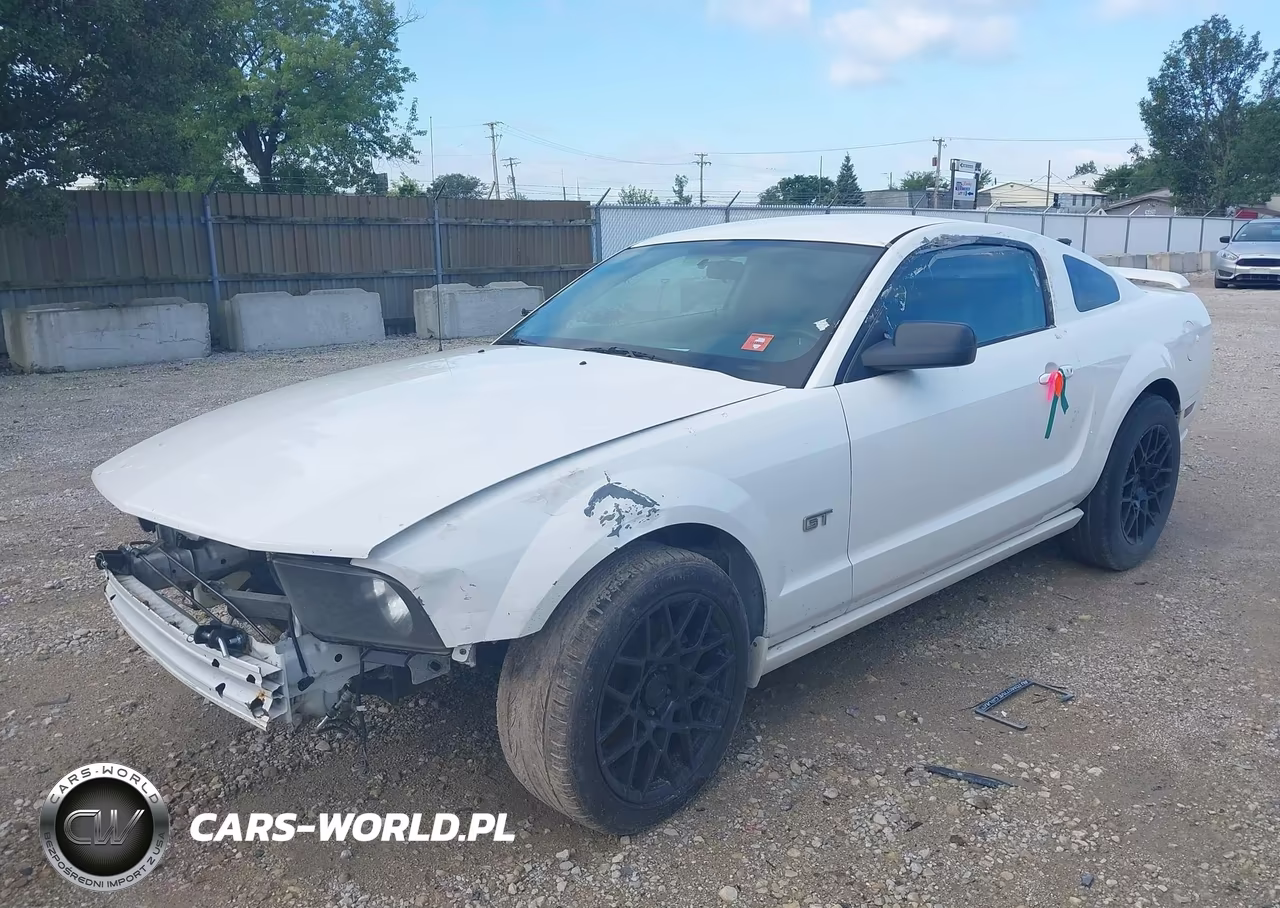 2005 Ford Mustang VIN:1ZVFT82H355124015 - 2