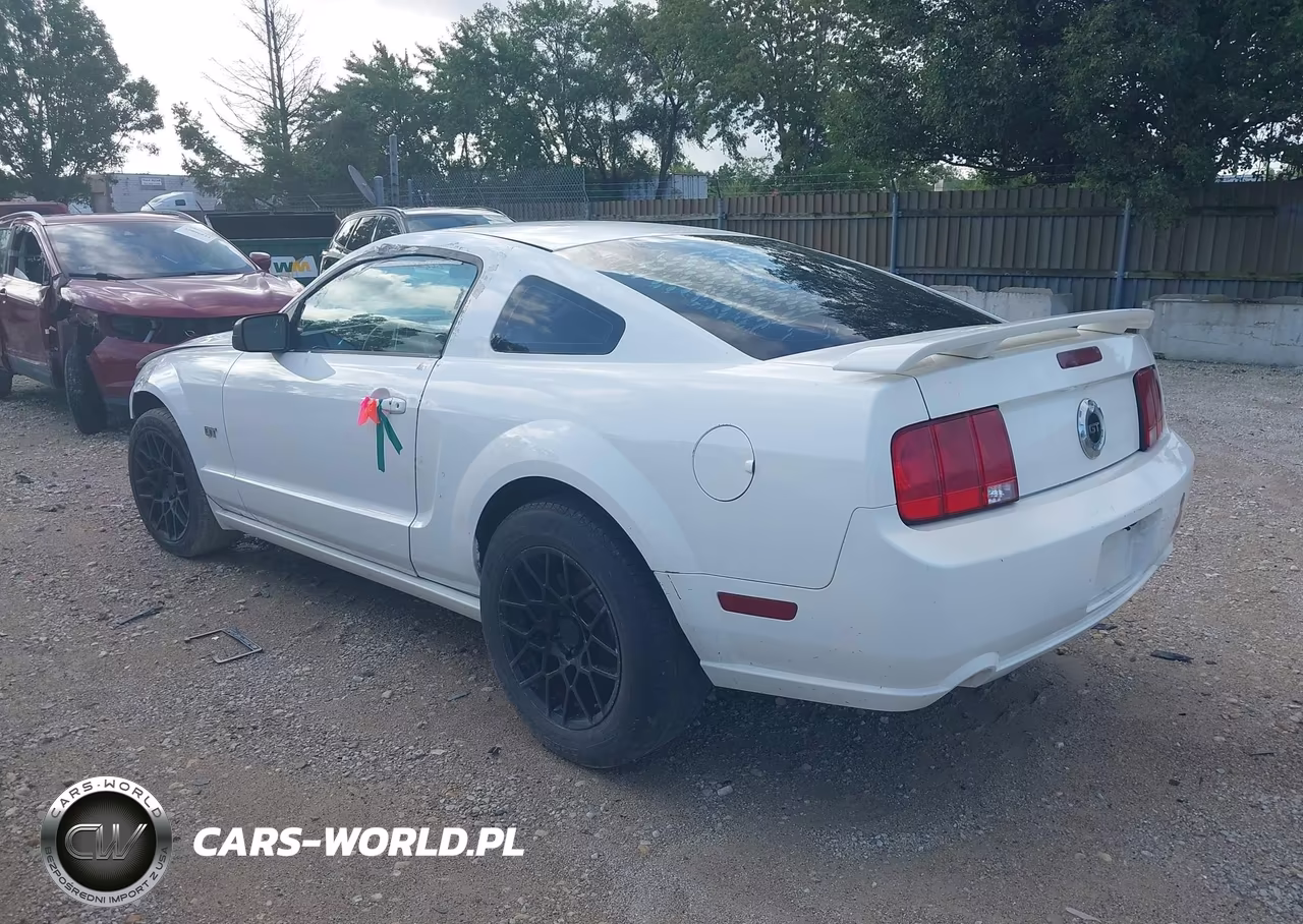 2005 Ford Mustang VIN:1ZVFT82H355124015 - 3