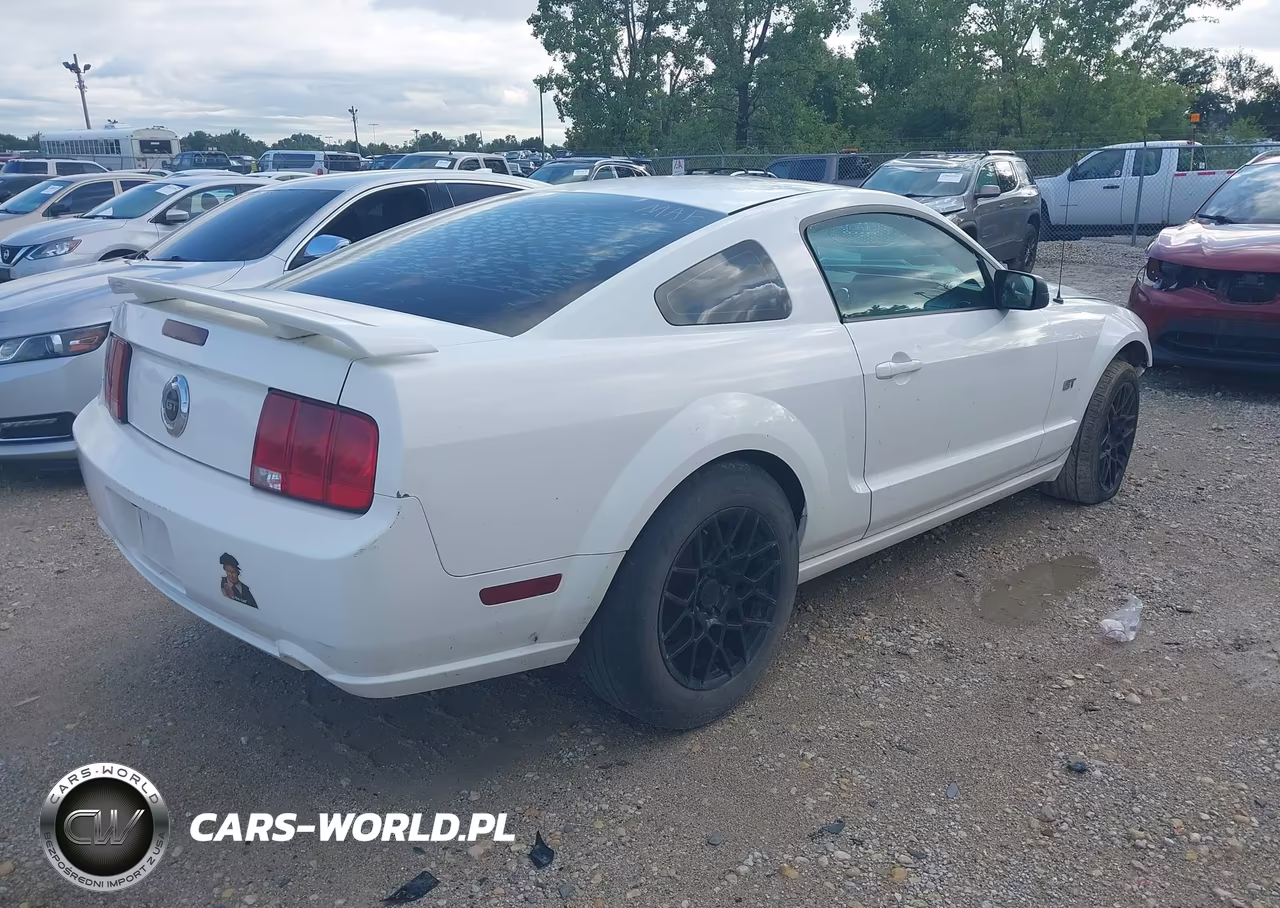 2005 Ford Mustang VIN:1ZVFT82H355124015 - 4