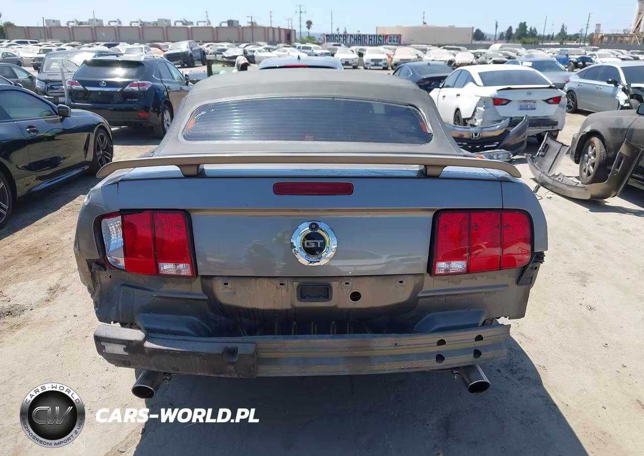 2005 Ford Mustang Gt VIN:1ZVFT85H755185752 - 6
