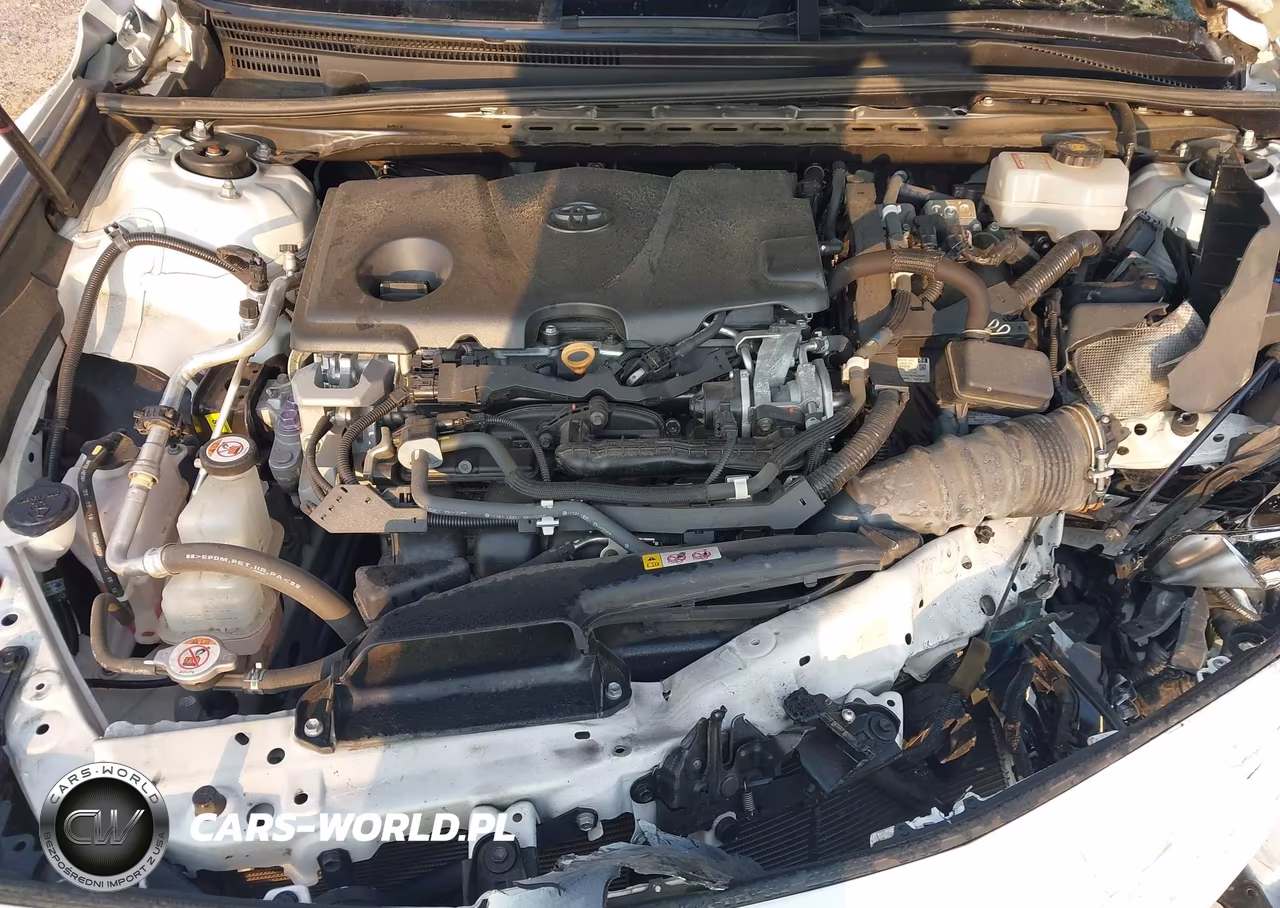 2020 Toyota Camry Xle Hybrid VIN:4T1F31AK4LU524848 - 10