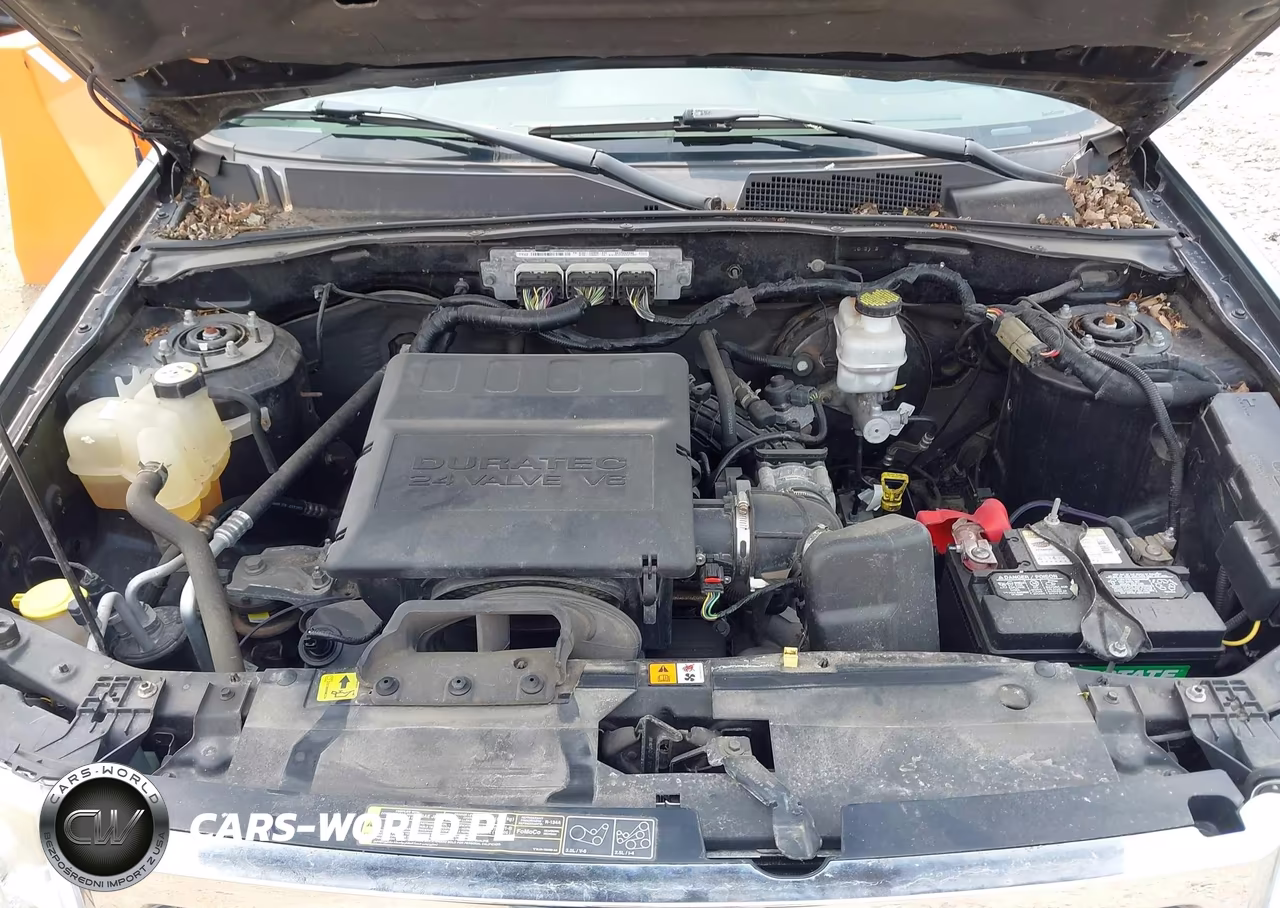 2011 Ford Escape Xlt VIN:1FMCU0DG8BKA79560 - 10