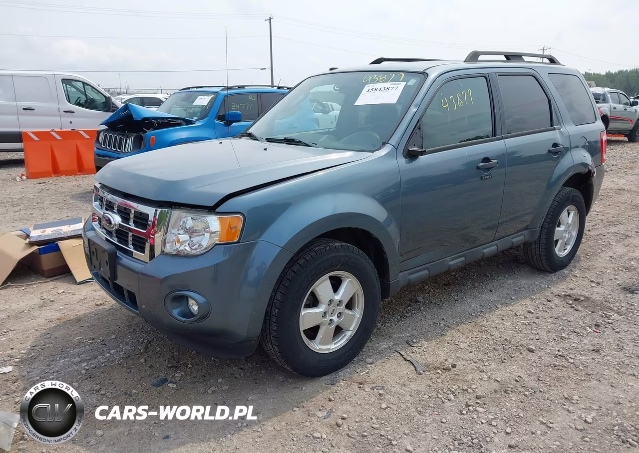 2011 Ford Escape Xlt VIN:1FMCU0DG8BKA79560 - 2