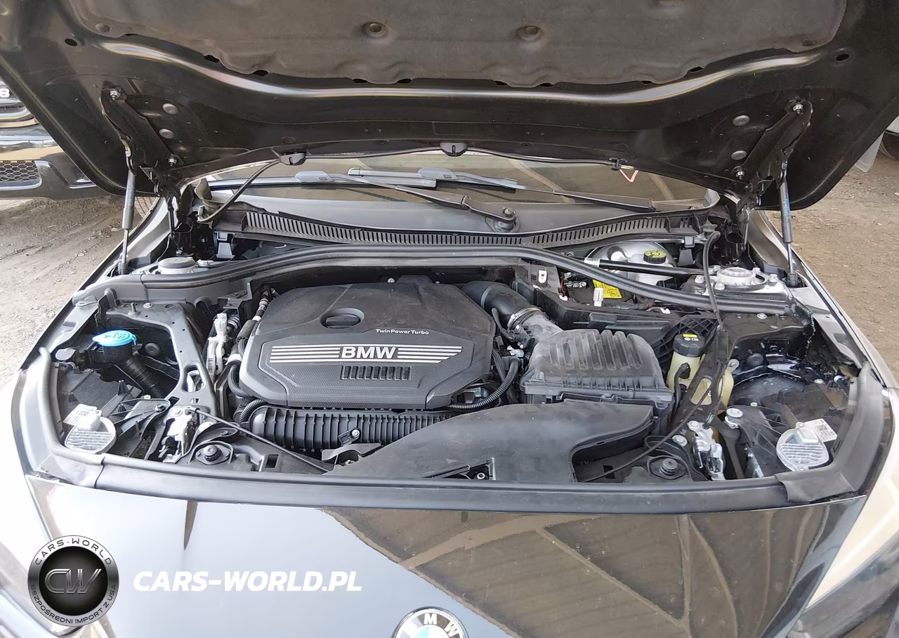 2022 BMW 228 Gran Coupe I Sdrive VIN:WBA53AK02N7L00442 - 10