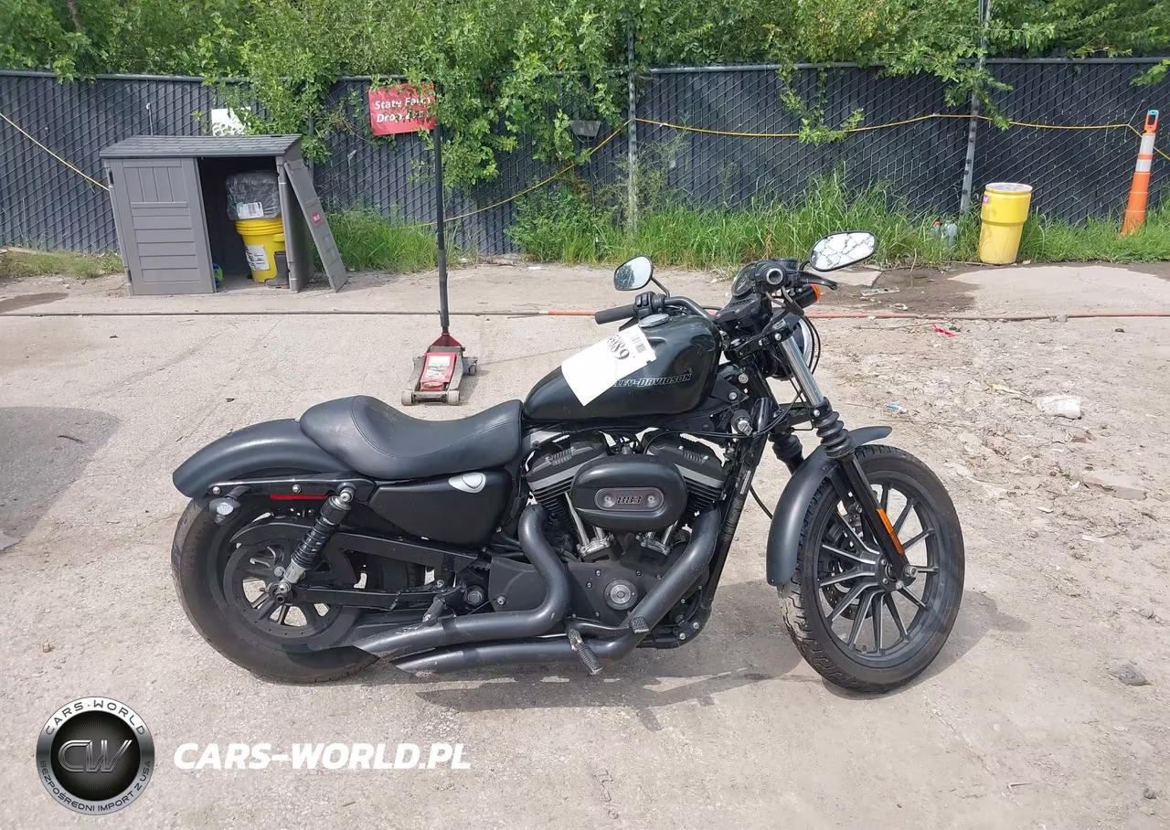 2010 Harley-Davidson Xl883 N VIN:1HD4LE210AC422036 - 12