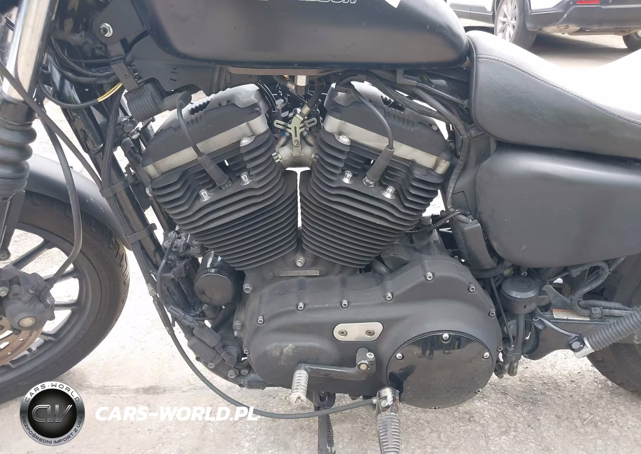 2010 Harley-Davidson Xl883 N VIN:1HD4LE210AC422036 - 9