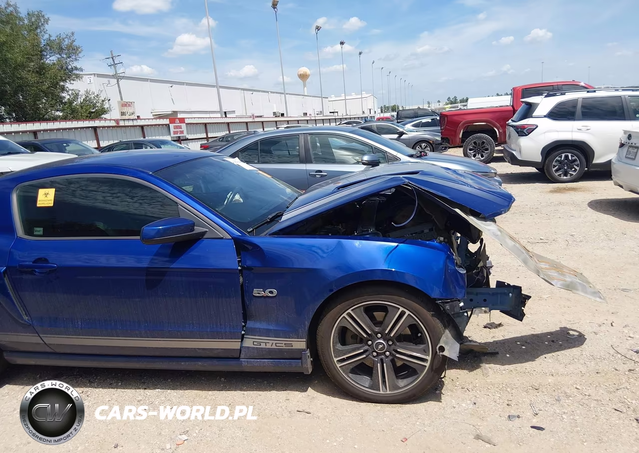 2014 Ford Mustang Gt Premium VIN:1ZVBP8CF7E5291204 - 13
