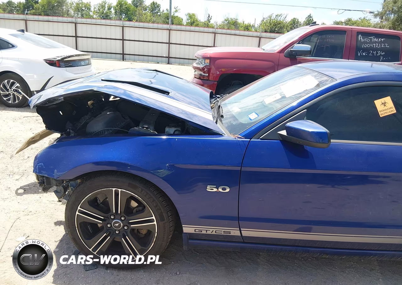 2014 Ford Mustang Gt Premium VIN:1ZVBP8CF7E5291204 - 14