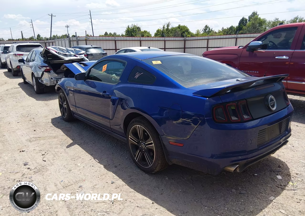 2014 Ford Mustang Gt Premium VIN:1ZVBP8CF7E5291204 - 3