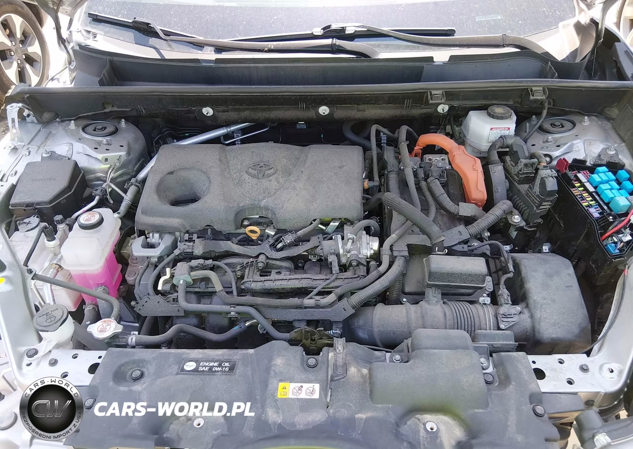 2024 Toyota Rav4 Hybrid Xle VIN:4T3RWRFVXRU145553 - 10