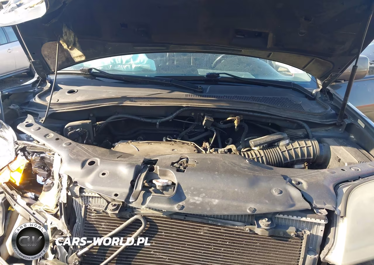 2004 Acura Mdx VIN:2HNYD18294H556533 - 10