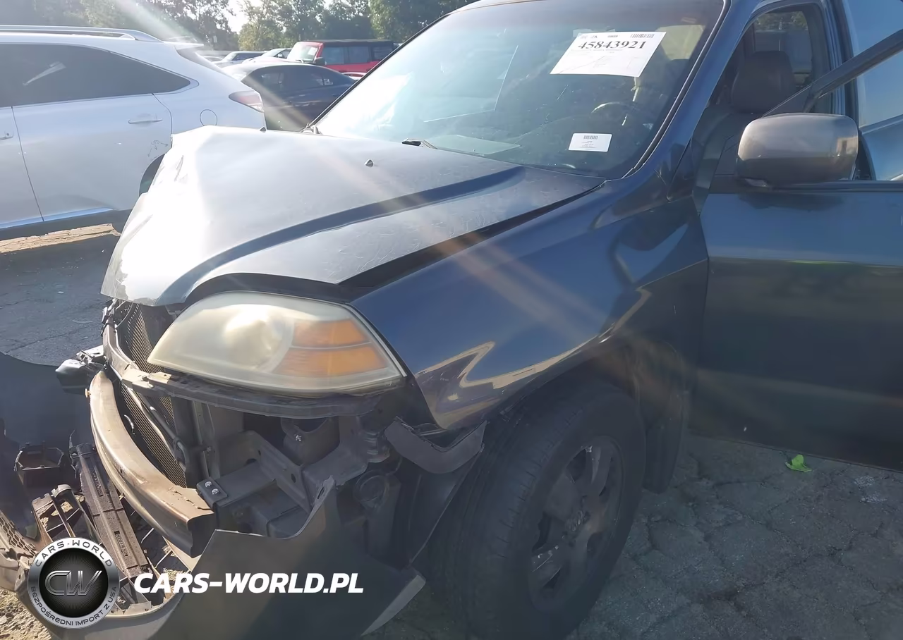 2004 Acura Mdx VIN:2HNYD18294H556533 - 6