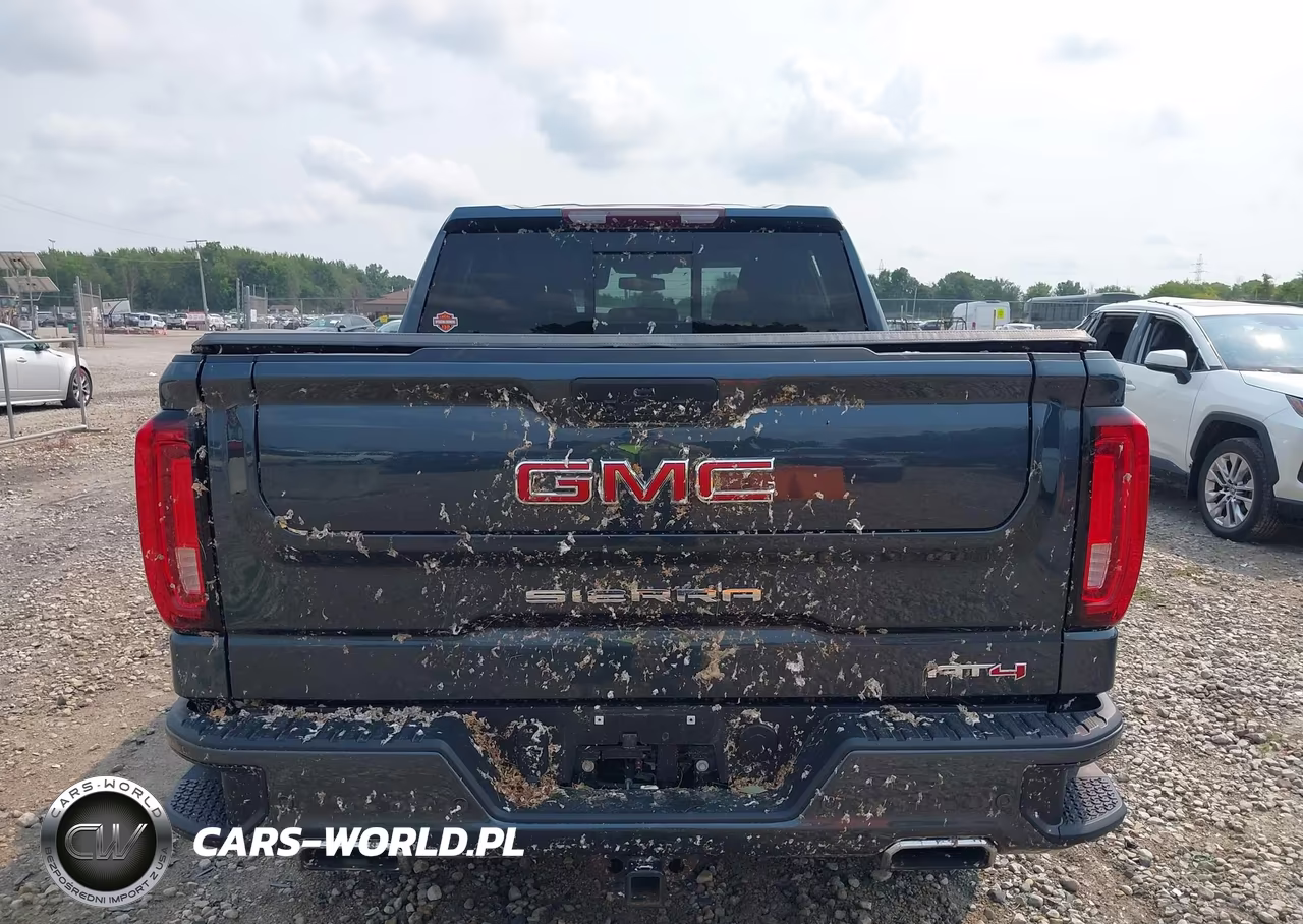 2020 GMC Sierra 1500 4Wd Short Box At4 VIN:3GTP9EED5LG416381 - 16