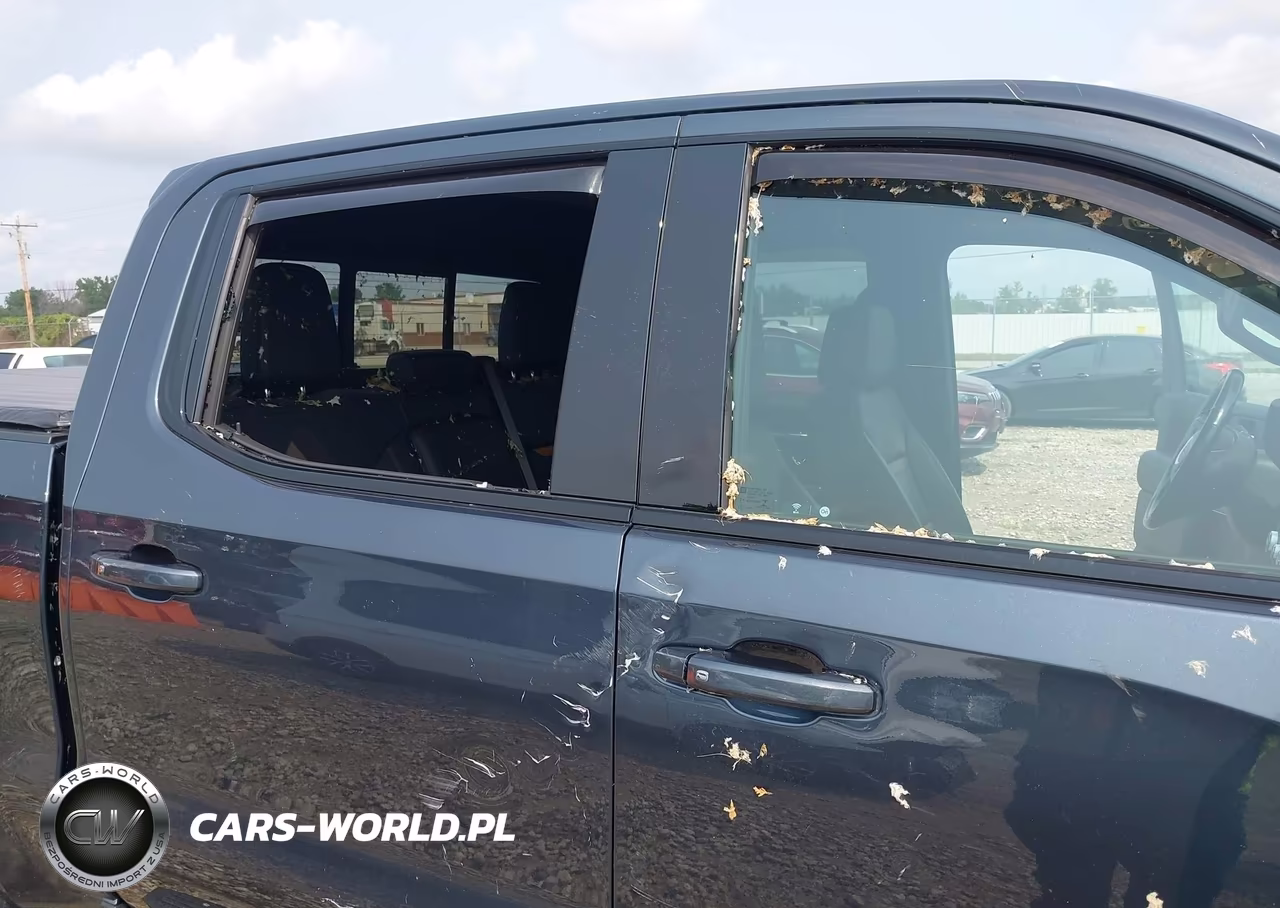 2020 GMC Sierra 1500 4Wd Short Box At4 VIN:3GTP9EED5LG416381 - 6