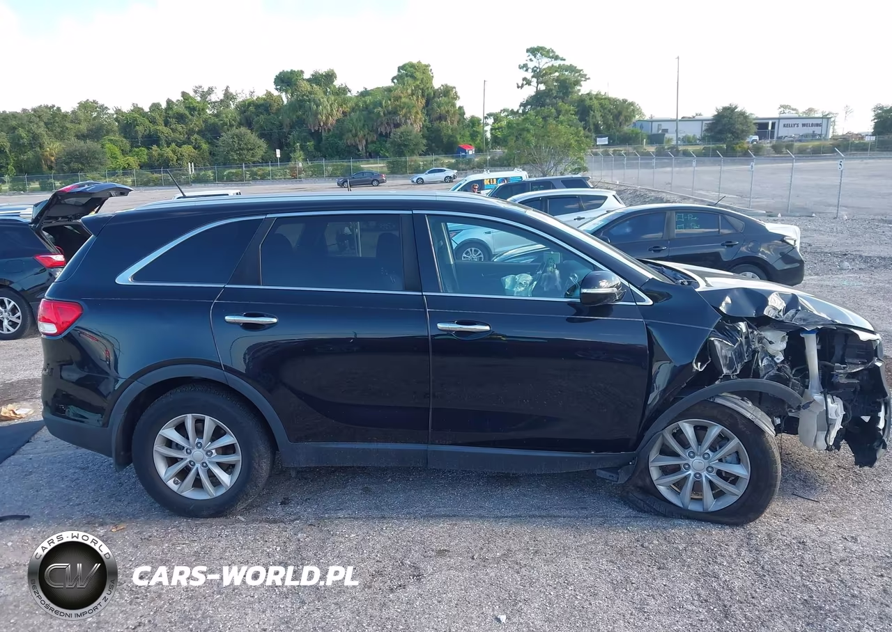 2017 Kia Sorento 2.4L Lx VIN:5XYPG4A37HG287918 - 13