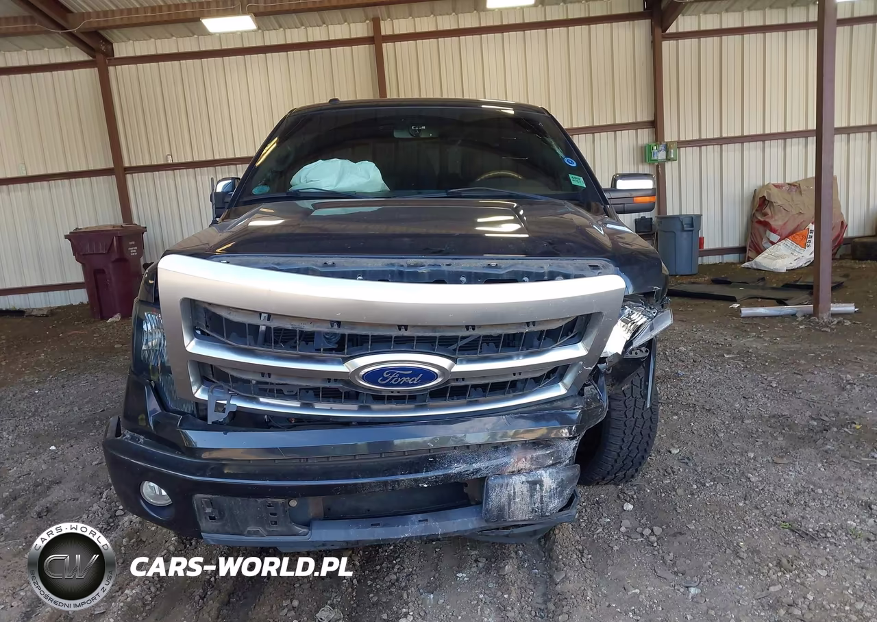 2010 Ford F-150 Fx2 Sport-Harley-Davidson-King Ranch-Lariat-Platinum-Xl-Xlt VIN:1FTFW1CV6AFD65657 - 12