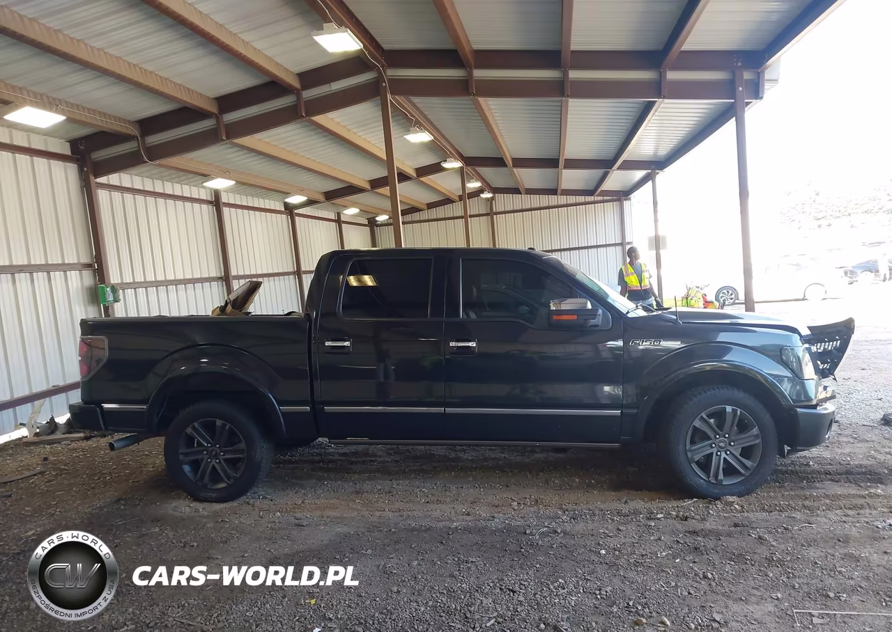 2010 Ford F-150 Fx2 Sport-Harley-Davidson-King Ranch-Lariat-Platinum-Xl-Xlt VIN:1FTFW1CV6AFD65657 - 13