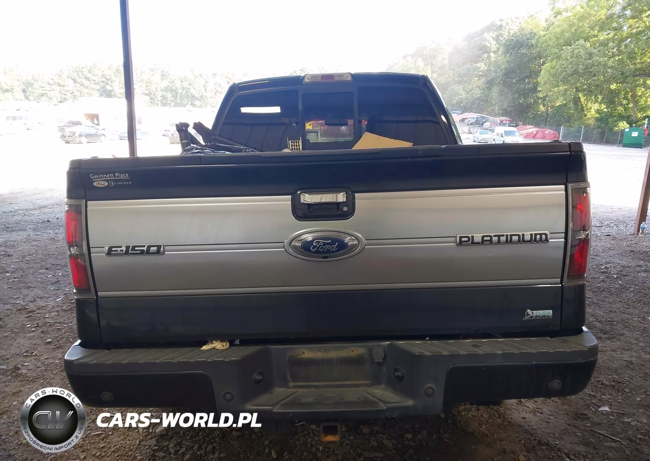 2010 Ford F-150 Fx2 Sport-Harley-Davidson-King Ranch-Lariat-Platinum-Xl-Xlt VIN:1FTFW1CV6AFD65657 - 16