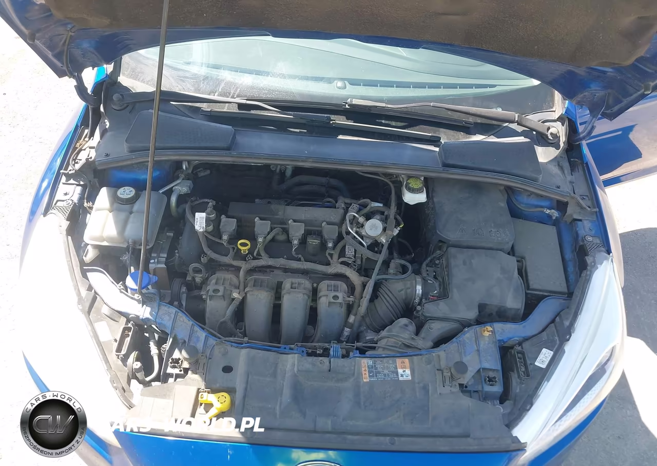 2018 Ford Focus Se VIN:1FADP3F25JL231876 - 10