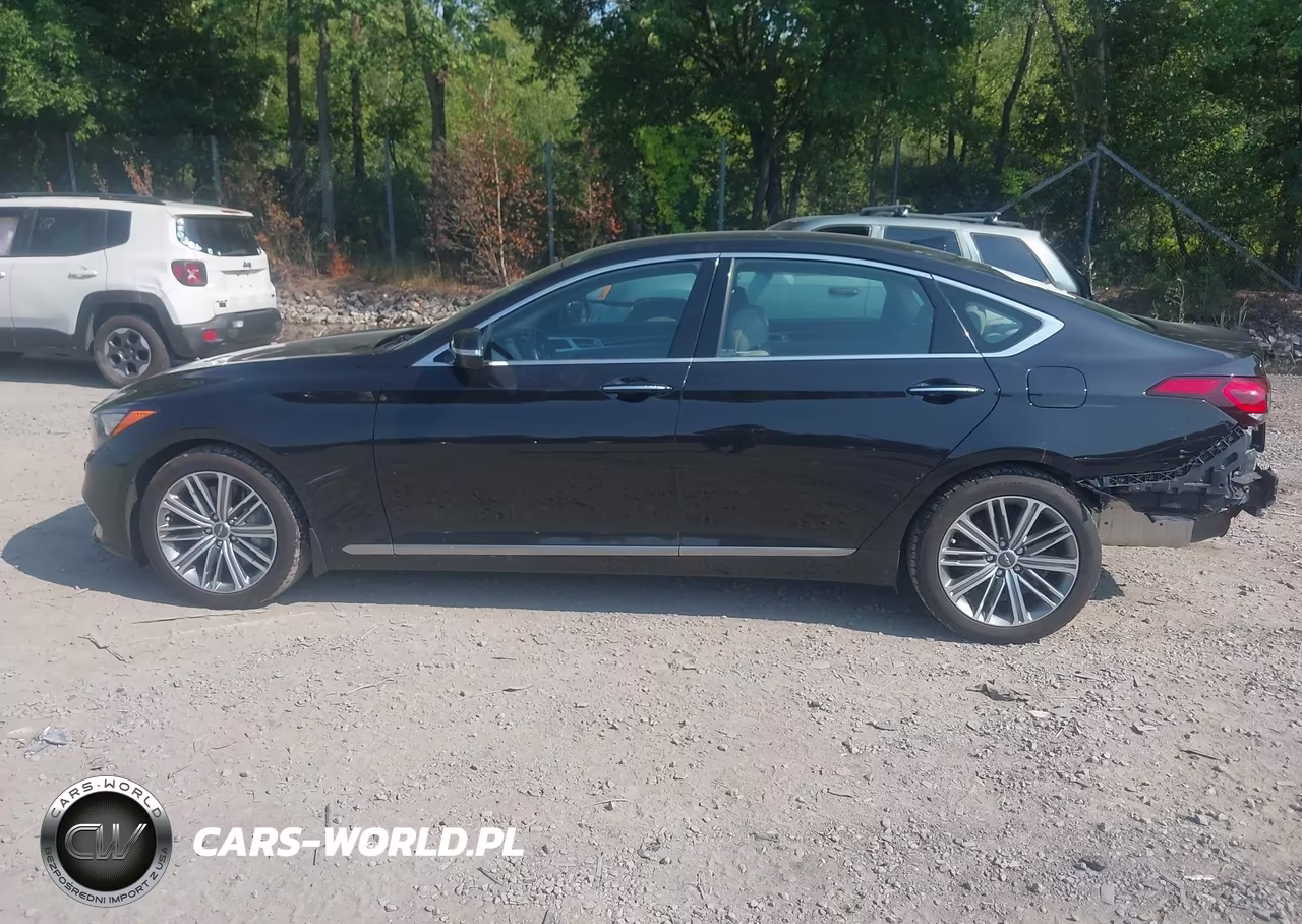 2018 Genesis G80 3.8 VIN:KMHGN4JE3JU251537 - 14