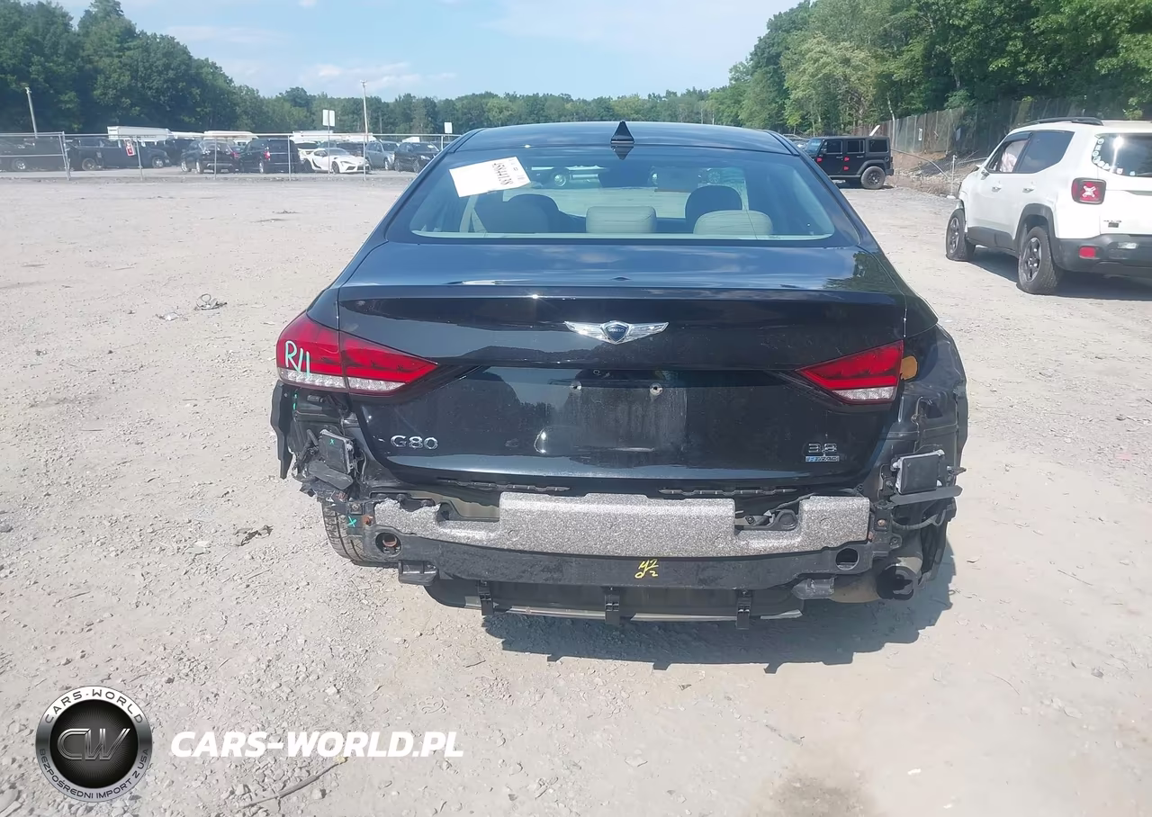 2018 Genesis G80 3.8 VIN:KMHGN4JE3JU251537 - 16