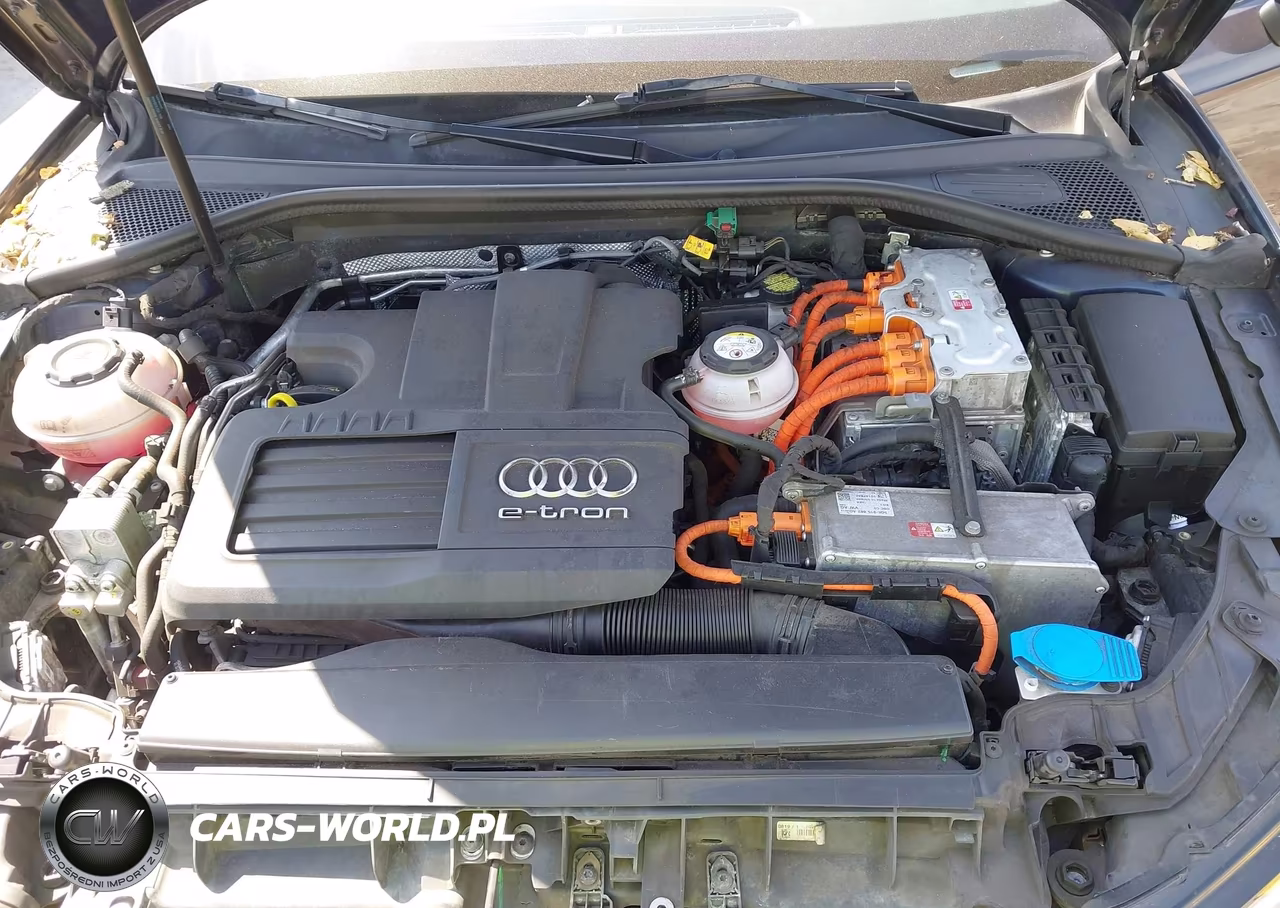 2018 Audi A3 E-Tron 1.4T Premium VIN:WAUTPBFF0JA078450 - 10