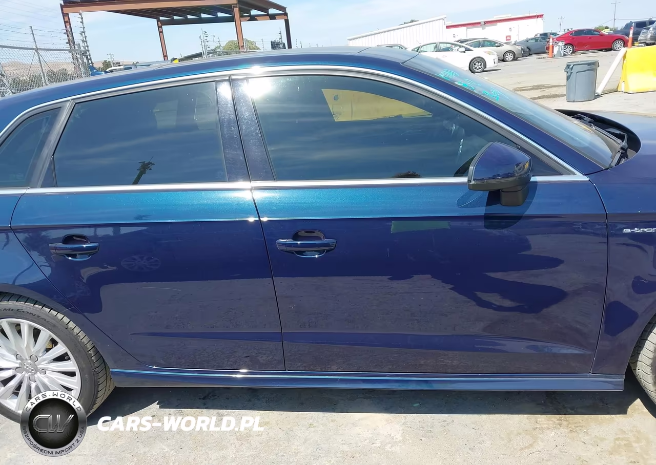 2018 Audi A3 E-Tron 1.4T Premium VIN:WAUTPBFF0JA078450 - 14