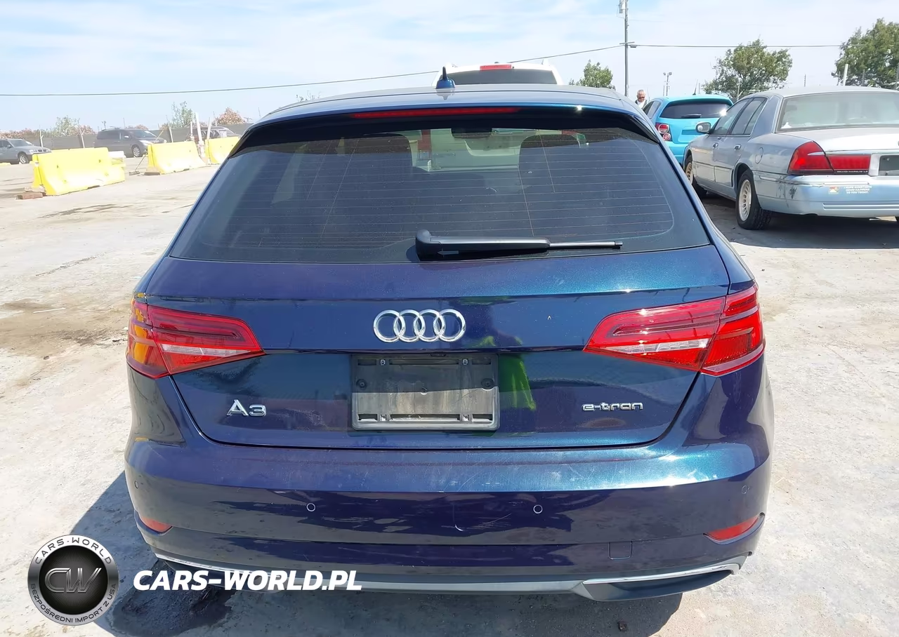 2018 Audi A3 E-Tron 1.4T Premium VIN:WAUTPBFF0JA078450 - 17
