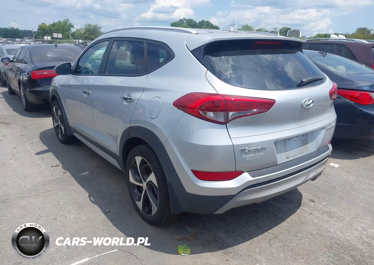 2018 Hyundai Tucson Limited VIN:KM8J33A28JU758445 - 3