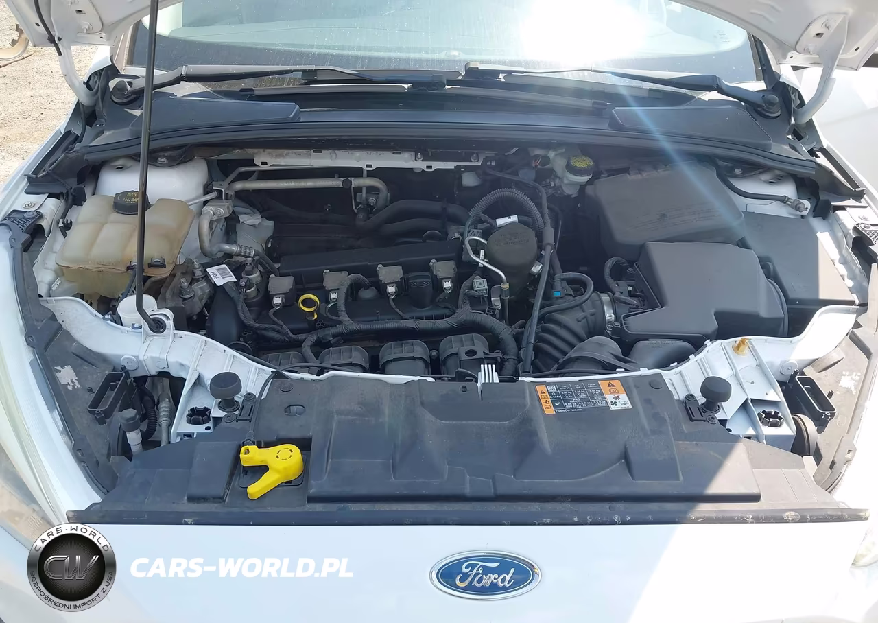 2016 Ford Focus Se VIN:1FADP3F24GL290927 - 10