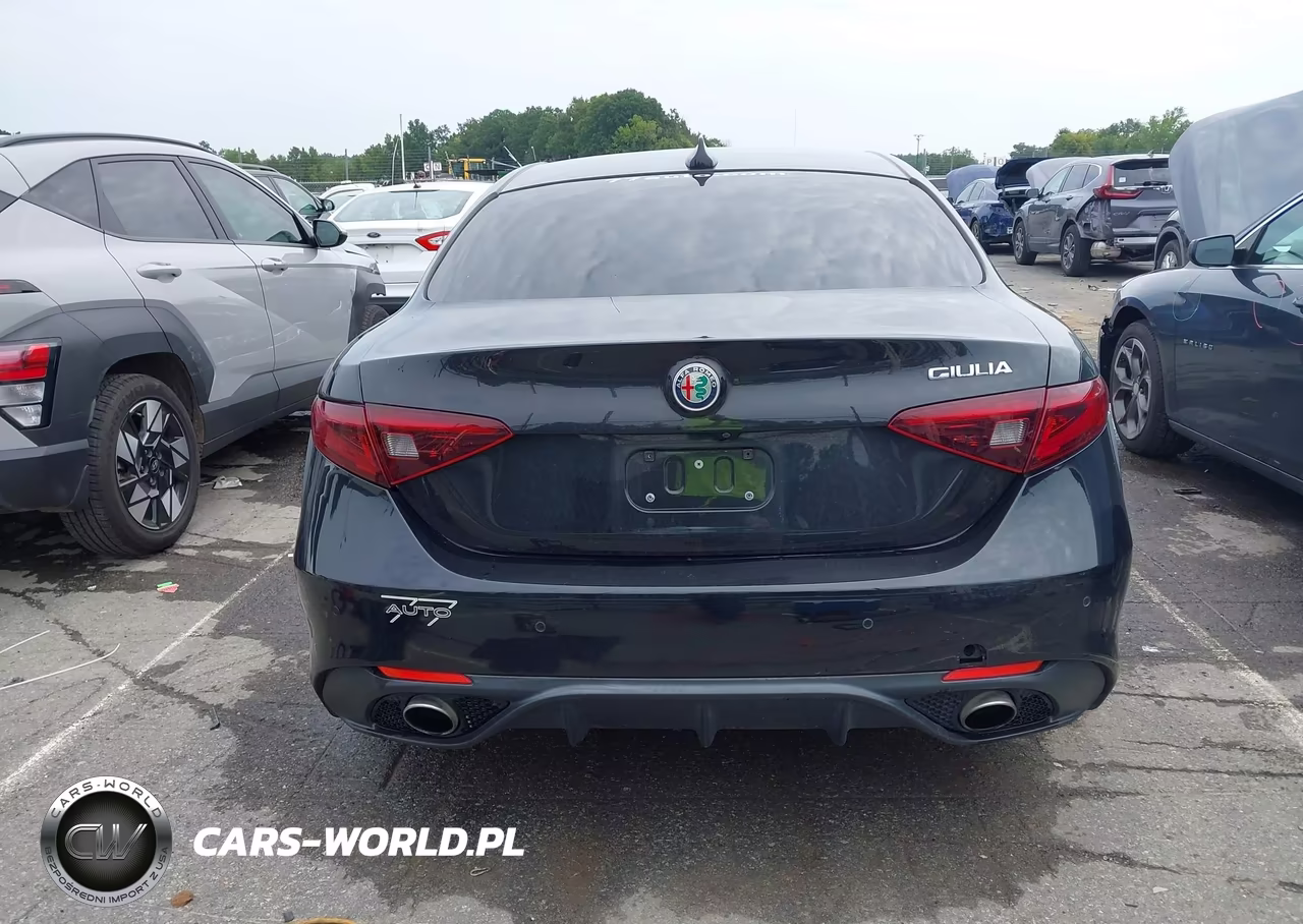 2019 Alfa Romeo Giulia Ti Sport Rwd VIN:ZARFAMBNXK7600466 - 16