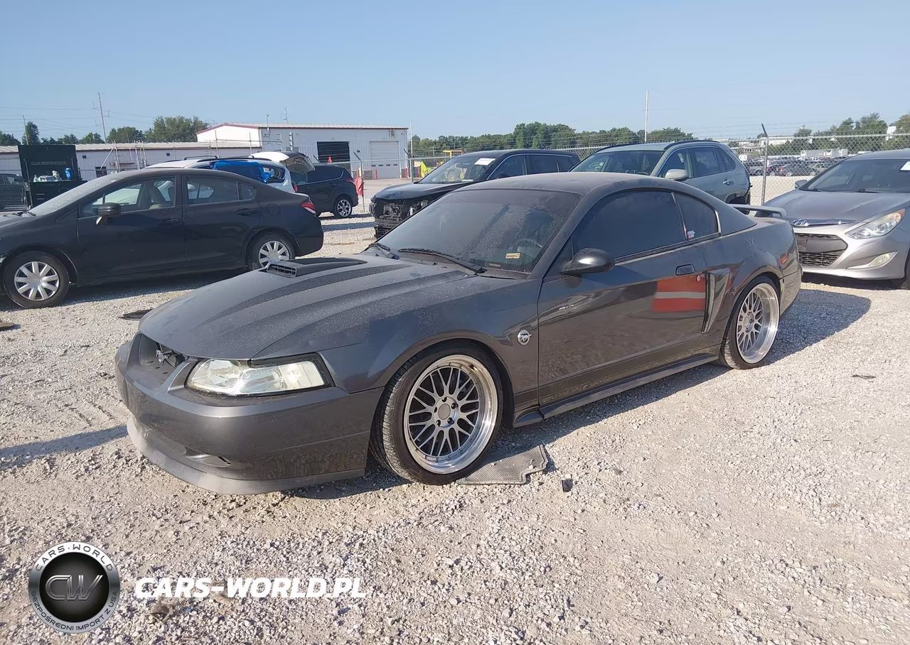 2004 Ford Mustang Mach 1 VIN:1FAFP42RX4F202569 - 2