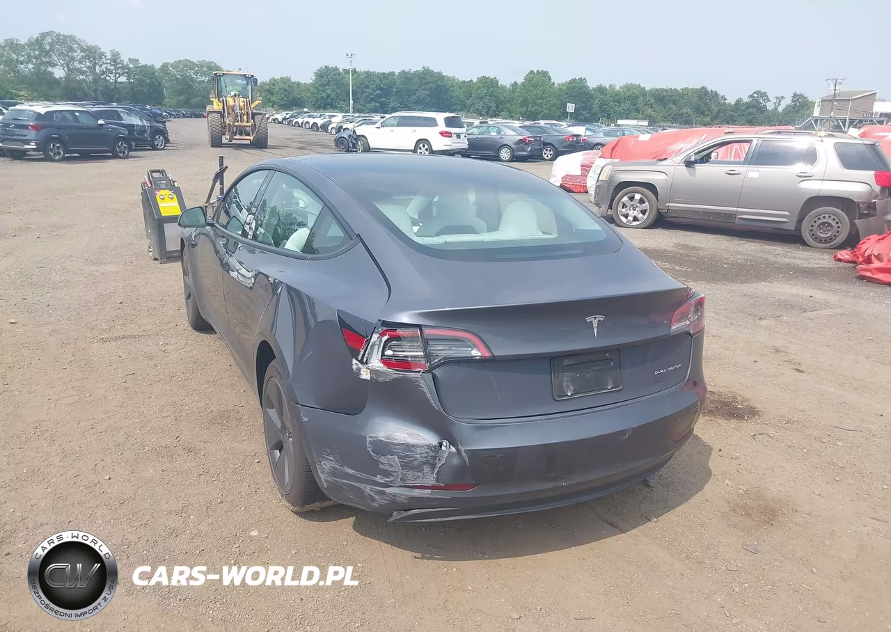 2023 Tesla Model 3 Long Range Dual Motor All-Wheel Drive VIN:5YJ3E1EB1PF679819 - 19