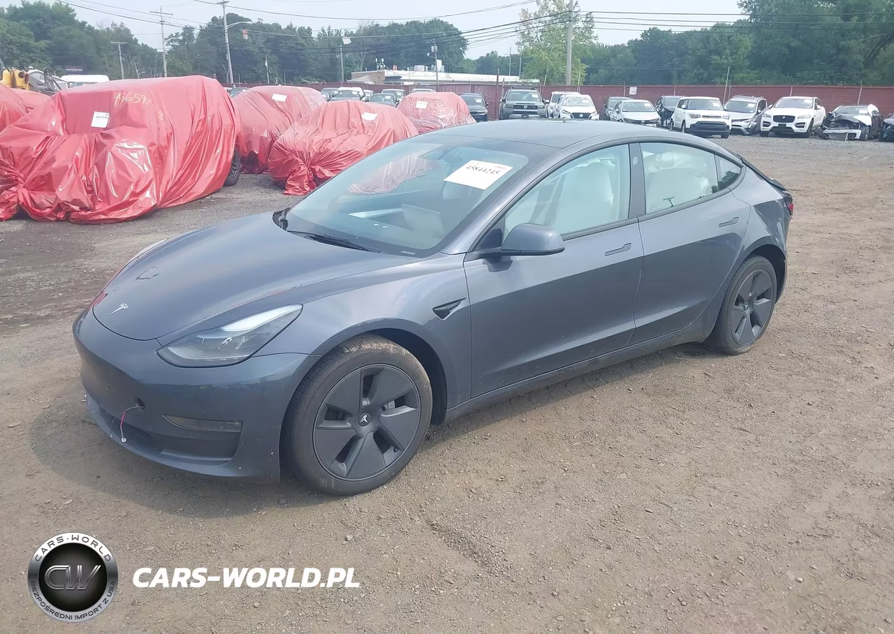 2023 Tesla Model 3 Long Range Dual Motor All-Wheel Drive VIN:5YJ3E1EB1PF679819 - 2