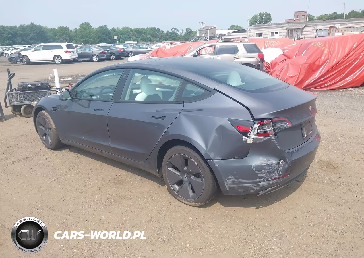 2023 Tesla Model 3 Long Range Dual Motor All-Wheel Drive VIN:5YJ3E1EB1PF679819 - 6