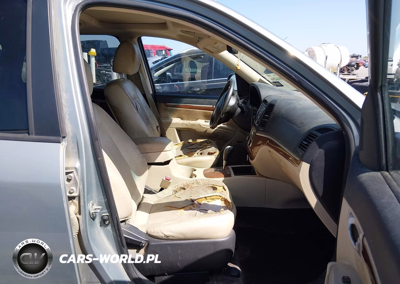 2009 Hyundai Santa Fe Limited VIN:5NMSH13E99H264815 - 5