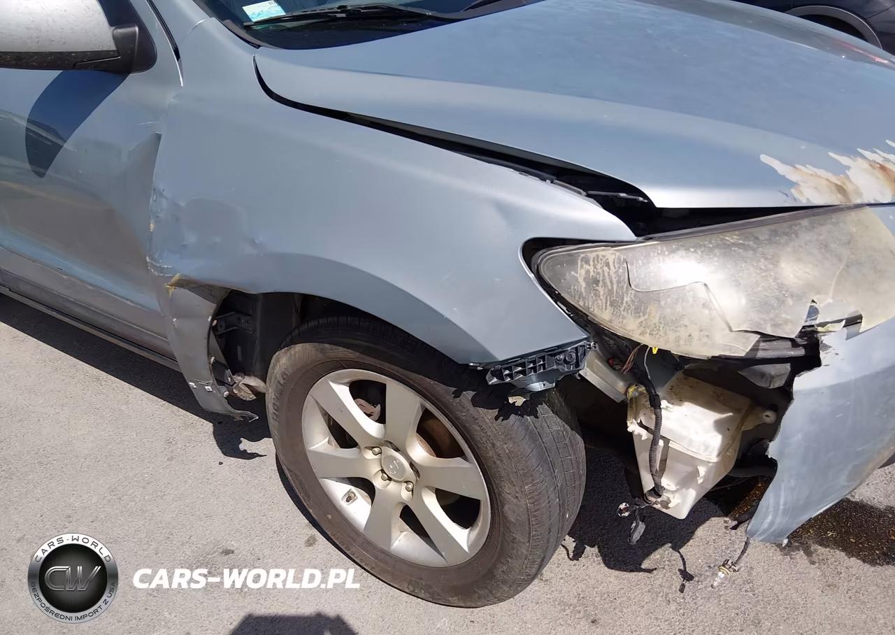 2009 Hyundai Santa Fe Limited VIN:5NMSH13E99H264815 - 6